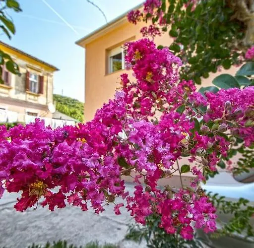 Lejlighed Nena Crikvenica