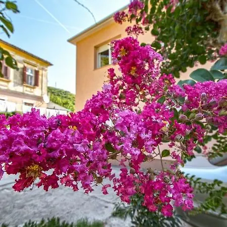 Apartment Nena Crikvenica